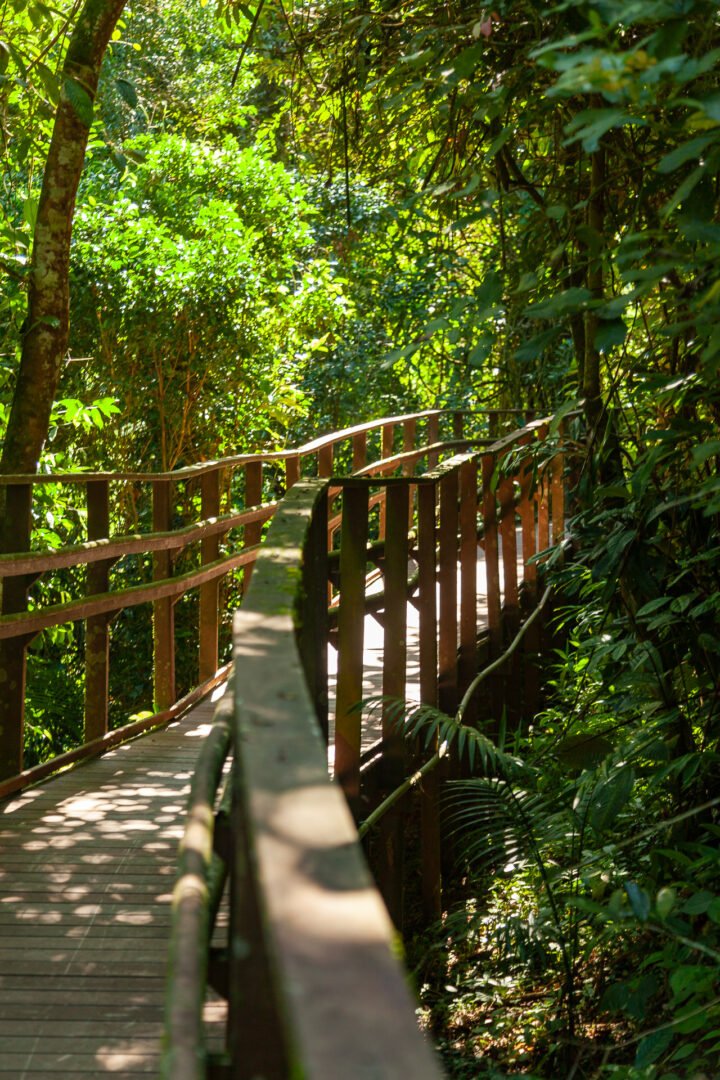 Trilha suspensa do Caminho da Floresta - Foto: @fotosincriveisparaty