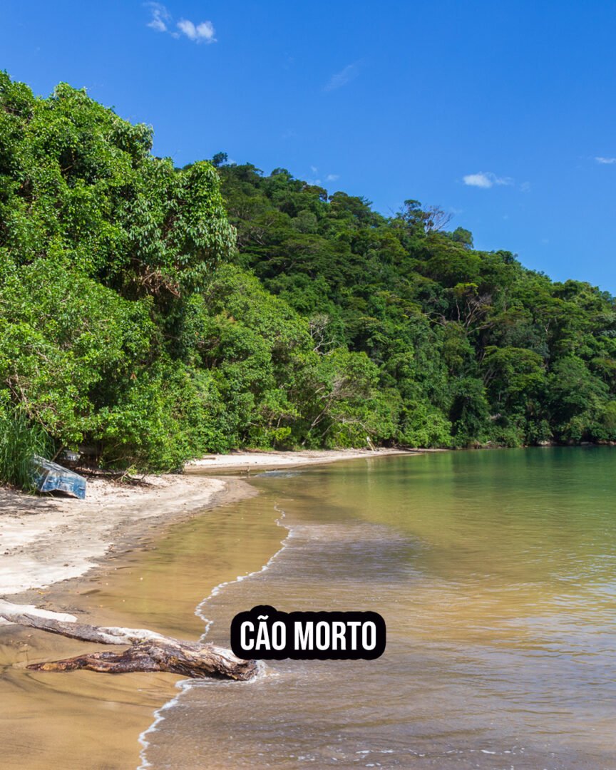 Praia do Cão Morto - Foto: @euamoparaty
