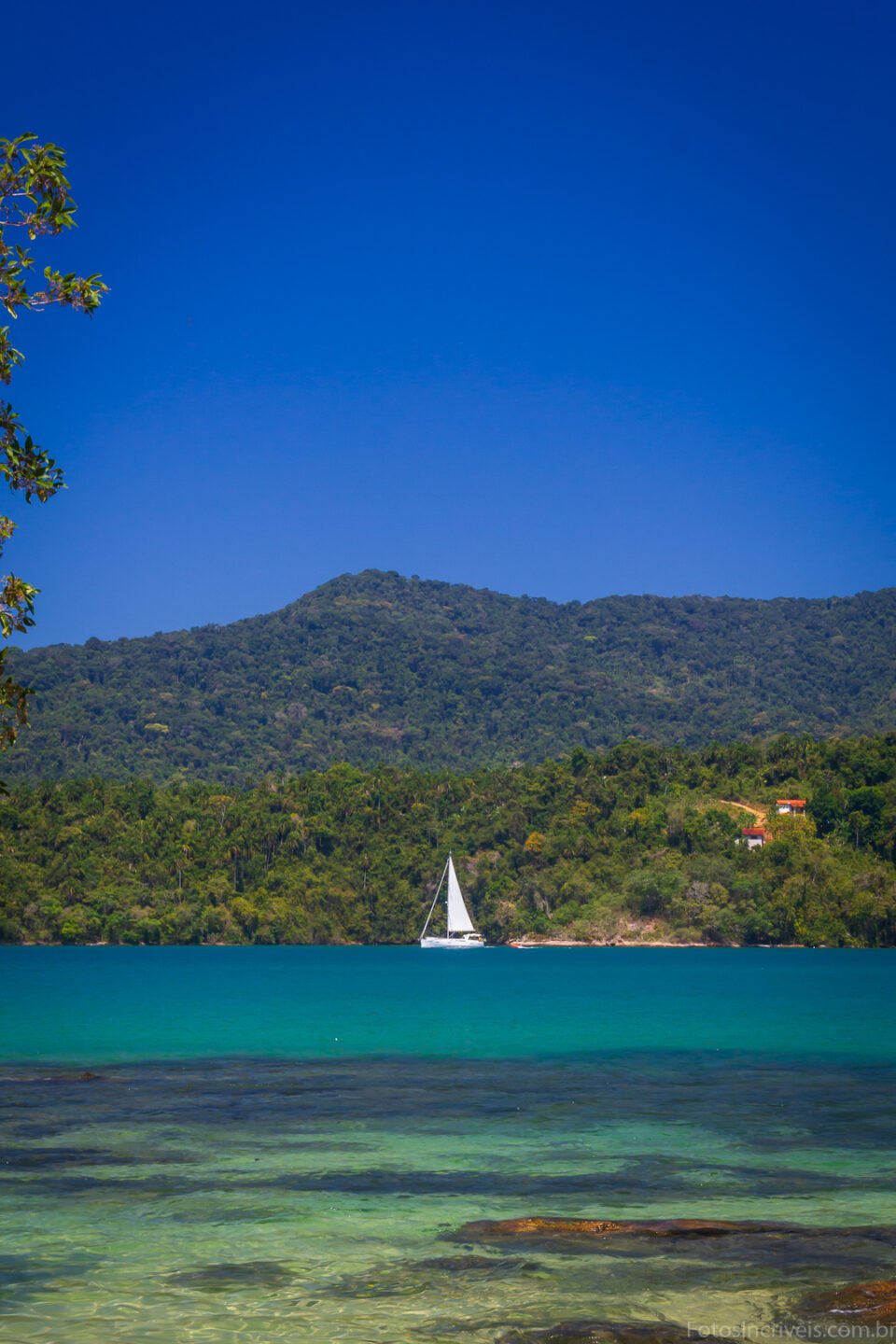 Ilha da Cutia - Foto: @euamoparaty