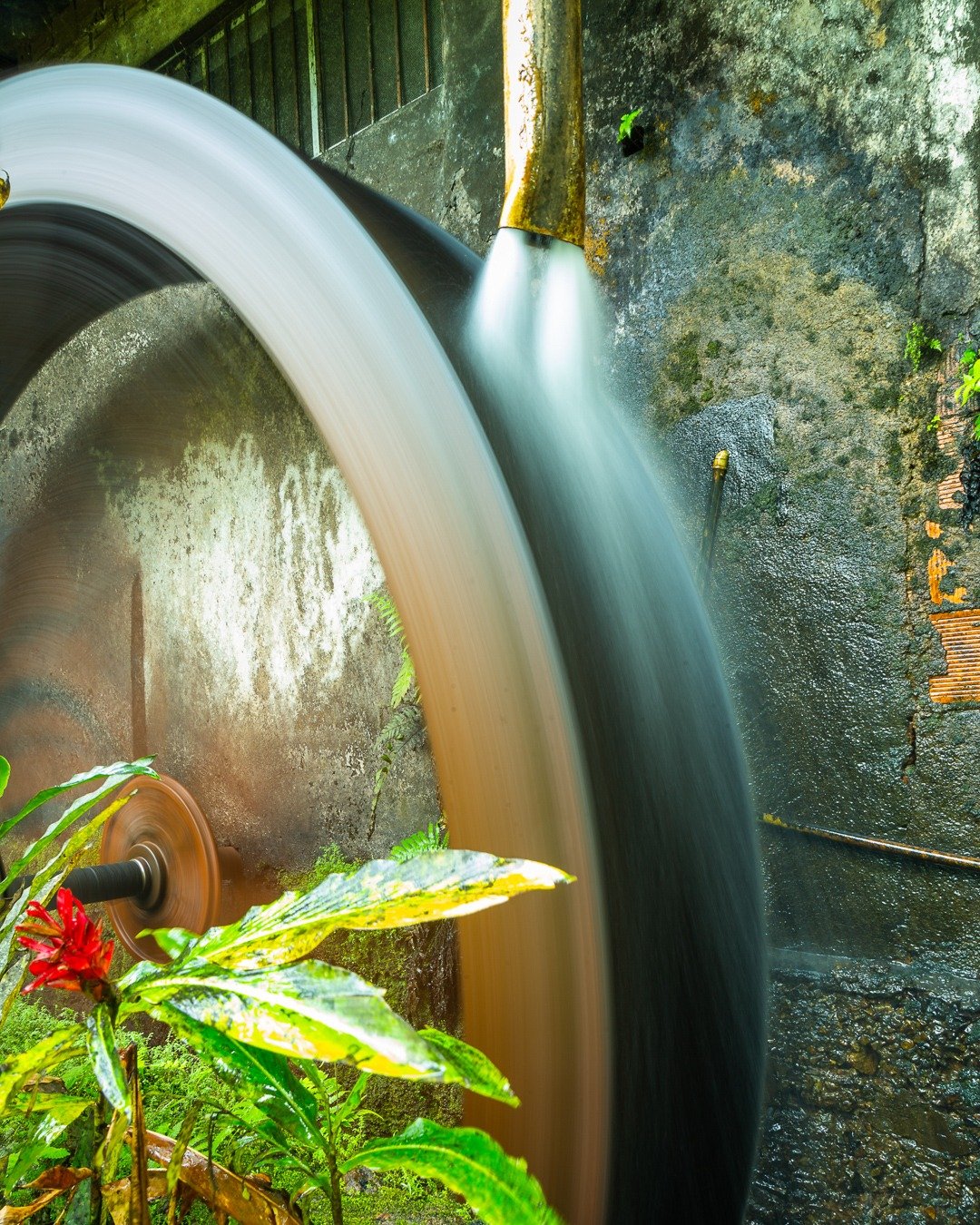 Roda d'água metálica em movimento, com jato de água contínuo capturado em longa exposição, tendo folhagem verde e uma flor vermelha em primeiro plano e parede de pedra ao fundo.
