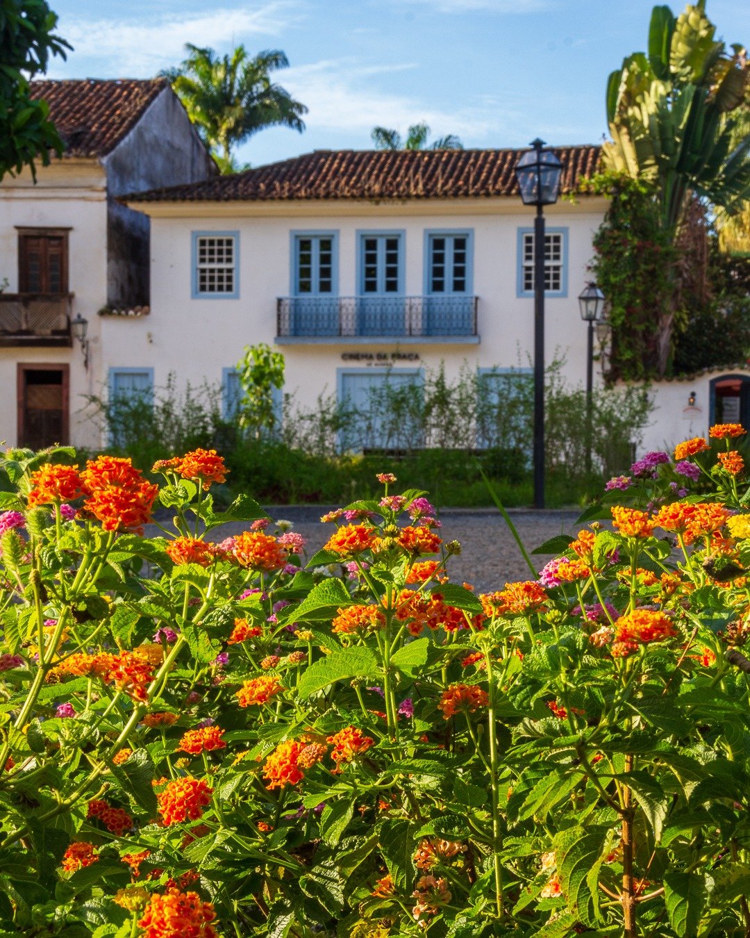 Cena no centro histórico com arbustos floridos de lantana em primeiro plano e casario colonial branco e azul ao fundo.
