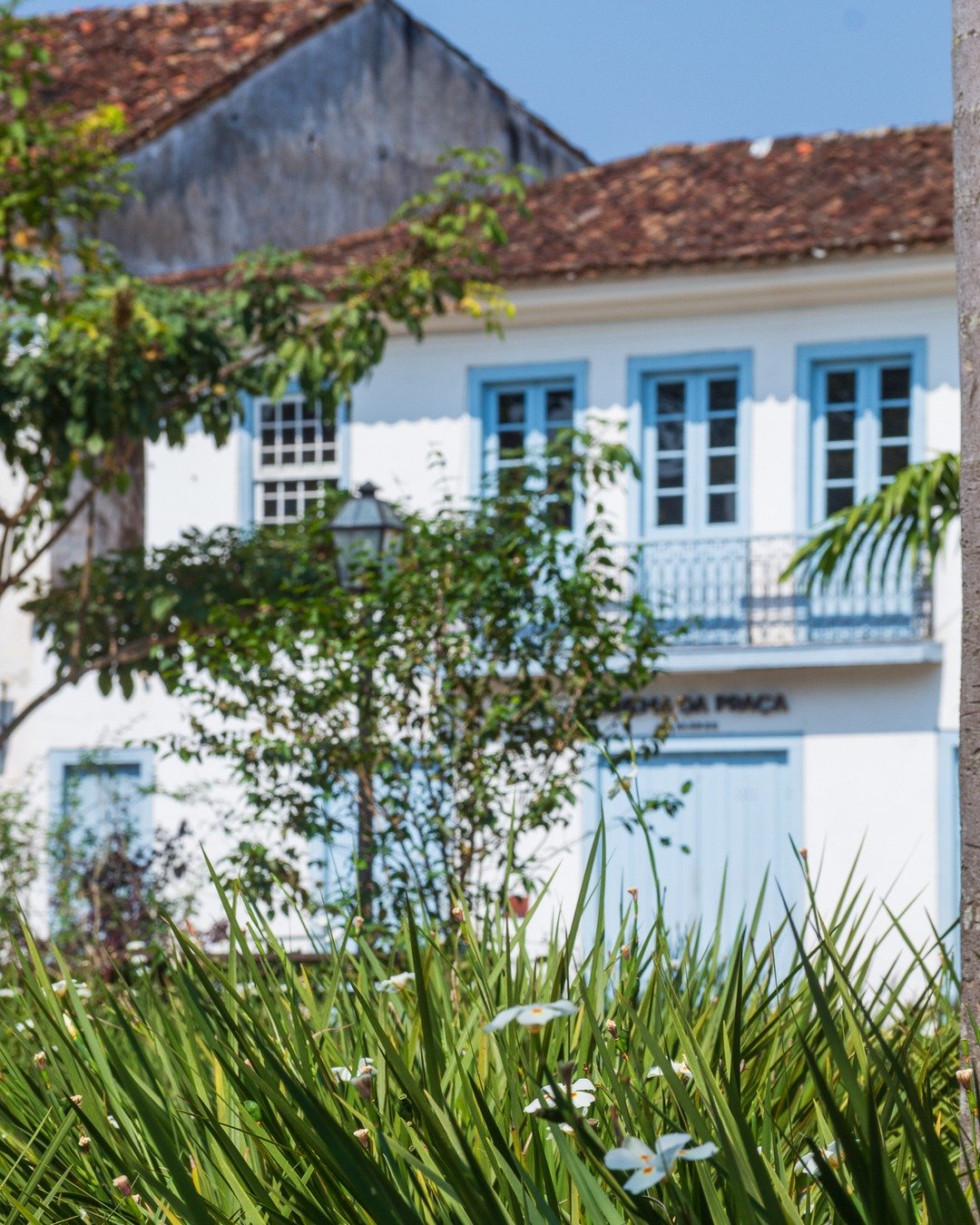 Fachada branca de casarão colonial com janelas e portas azuis e telhado de barro, vista por trás de densa vegetação em primeiro plano com flores brancas.