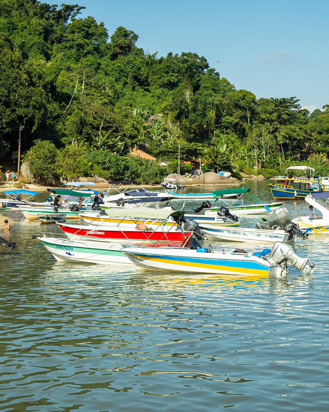 Enseada com diversos barcos coloridos ancorados em água calma, encosta coberta por mata atlântica densa ao fundo e pequenas construções e placas na margem.