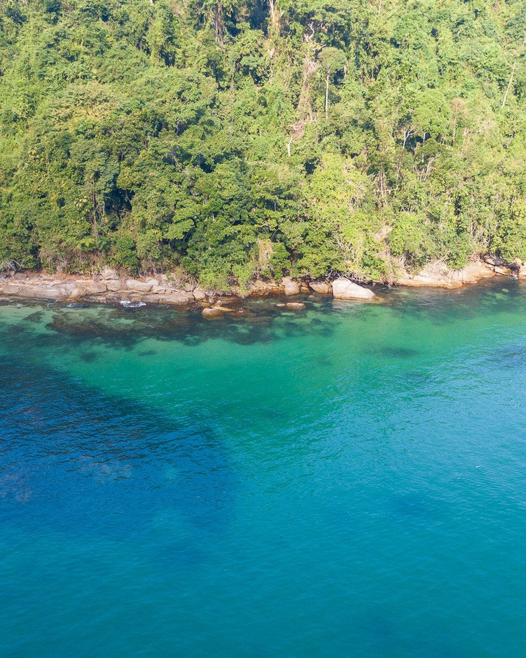 Vista aérea de uma enseada com água turquesa e transparente ao longo de uma costa rochosa coberta por mata densa e verde.