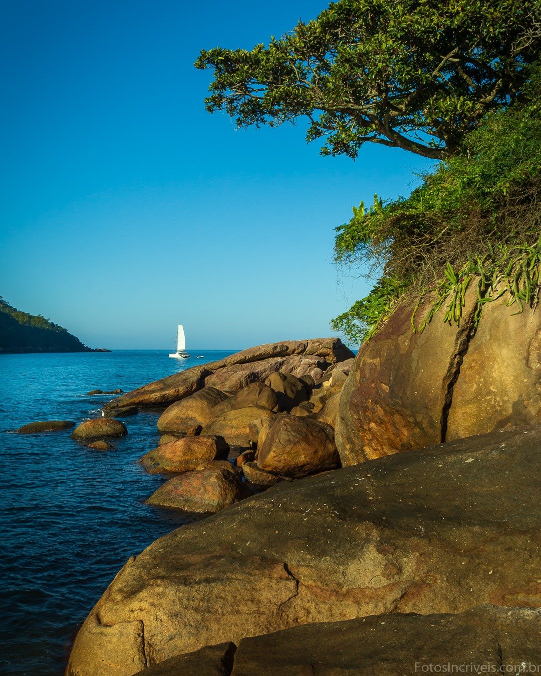Costa rochosa com mar azul, árvore inclinada à direita e um pequeno veleiro ao fundo.
