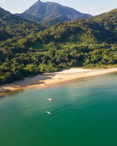 Vista aérea de uma enseada com praia de areia clara, mar verde-azulado e montanhas cobertas por mata atlântica.