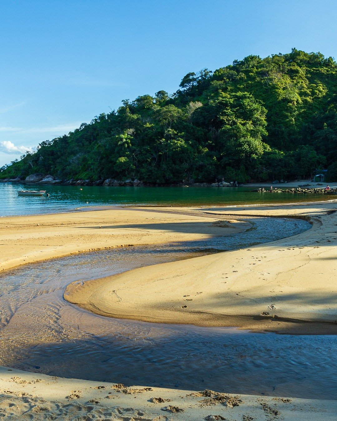 Praia com riacho de água escura serpenteando pela areia, morro coberto de vegetação e mar ao fundo.