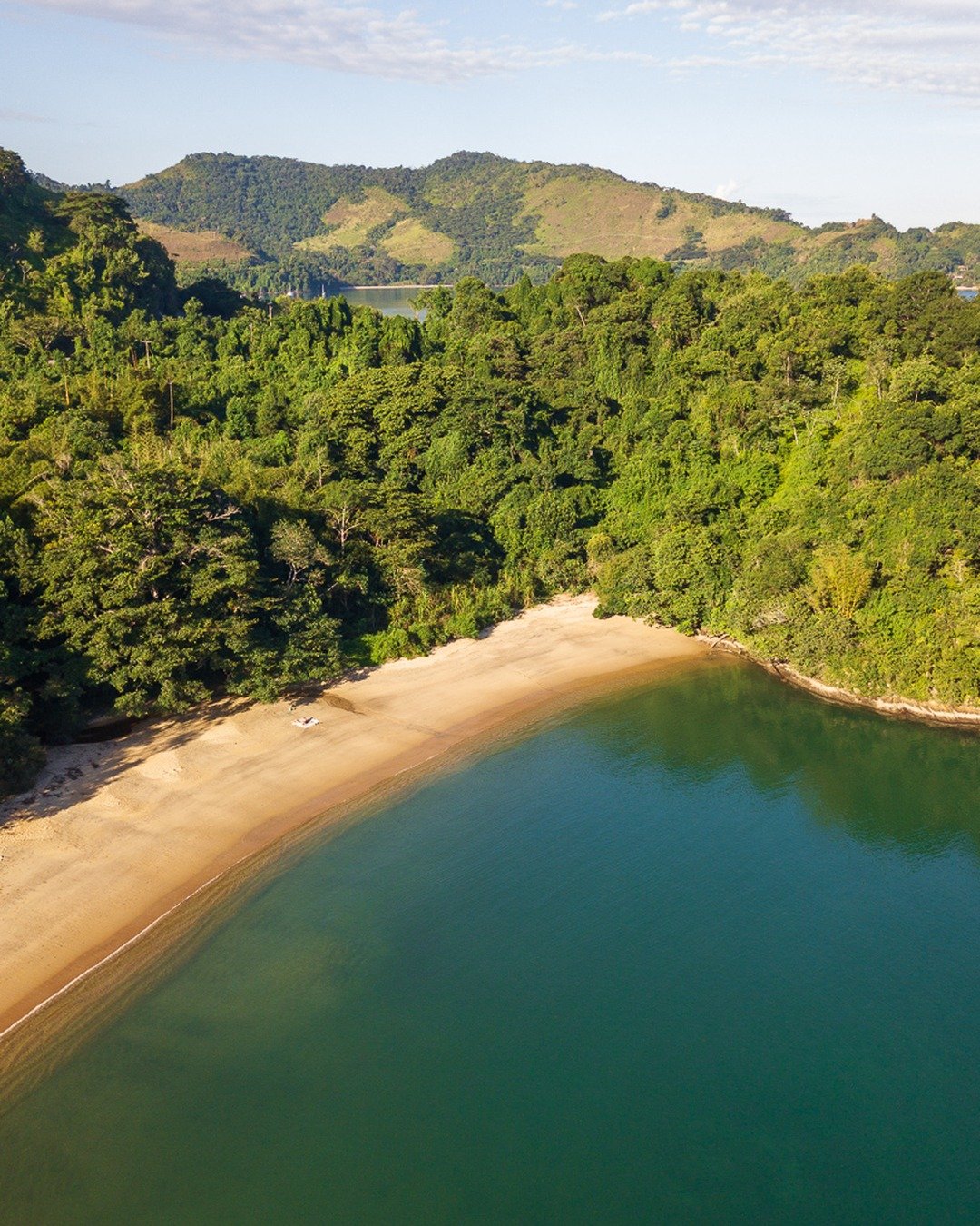 Vista aérea de uma enseada com faixa de areia curvada, água esverdeada e encosta densamente arborizada.