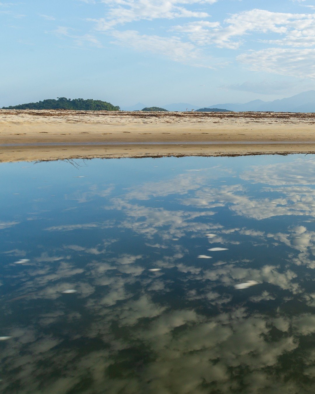 Praia com faixa de areia e vegetação rasteira ao fundo, com água rasa em primeiro plano refletindo o céu nublado.