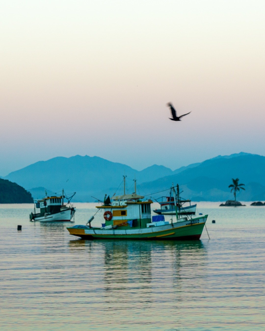 Barcos de pesca ancorados em águas calmas ao crepúsculo, com montanhas ao fundo, uma pequena ilha com palmeira e uma ave em voo no céu rosado.