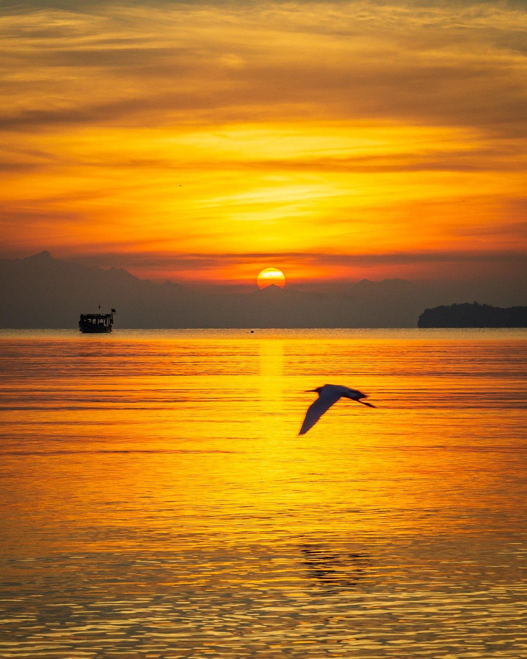 Pôr do sol dourado sobre o mar calmo, com uma gaivota em silhueta cruzando o reflexo do sol e um barco pequeno no horizonte à esquerda.