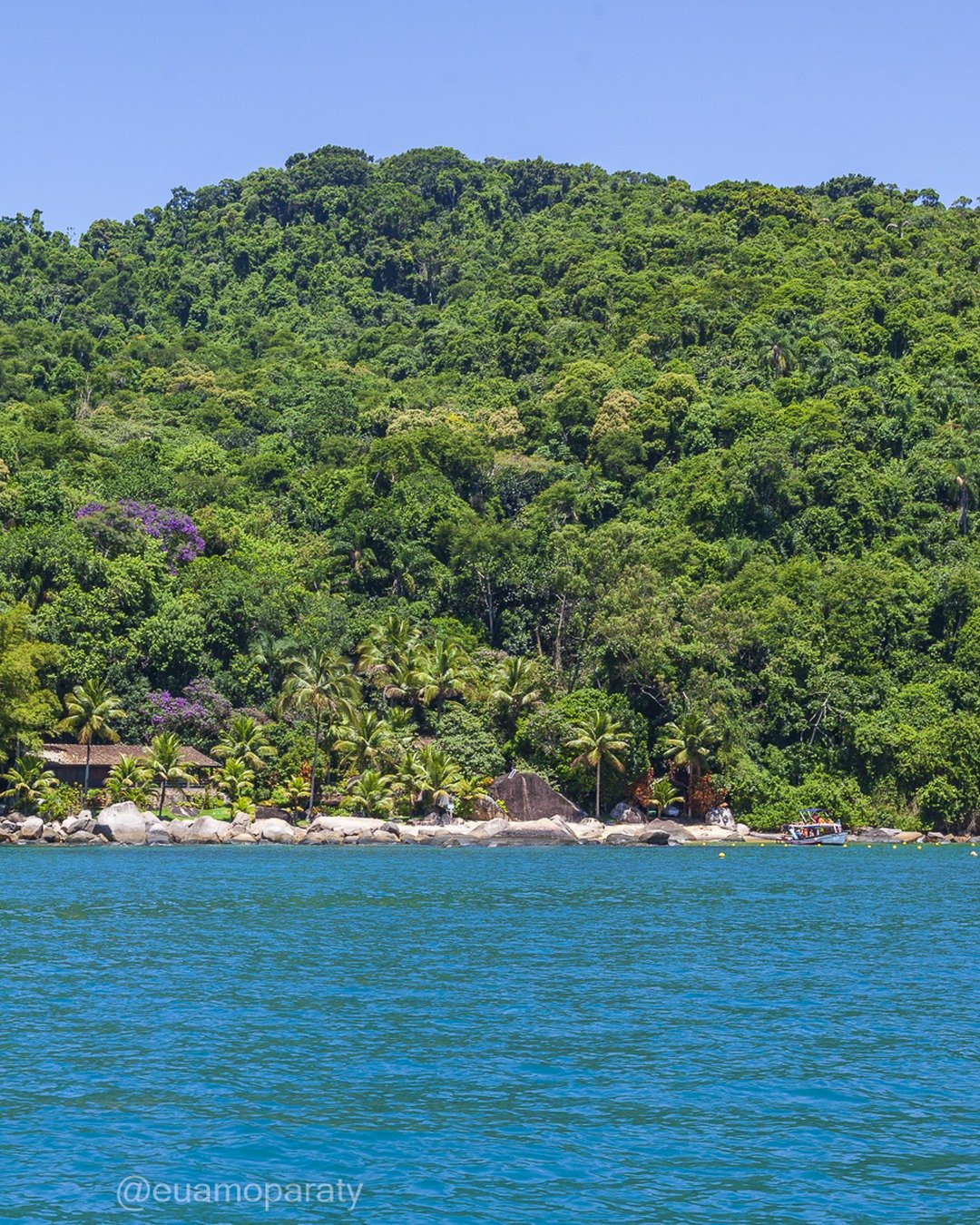 Vista de uma enseada com morro coberto por mata atlântica densa, faixa de praia com pedras e vegetação, mar azul calmo em primeiro plano e céu claro no topo.