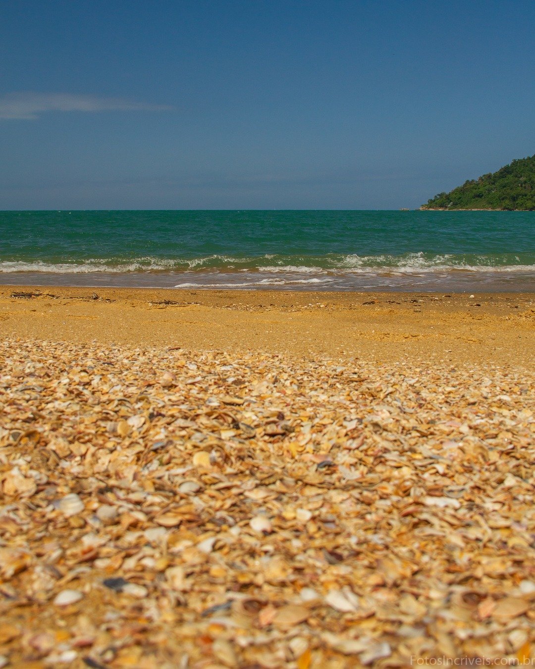 Praia com extensa faixa de conchas douradas em primeiro plano, mar calmo esverdeado ao fundo e morro coberto de vegetação à direita, sob céu azul limpo.