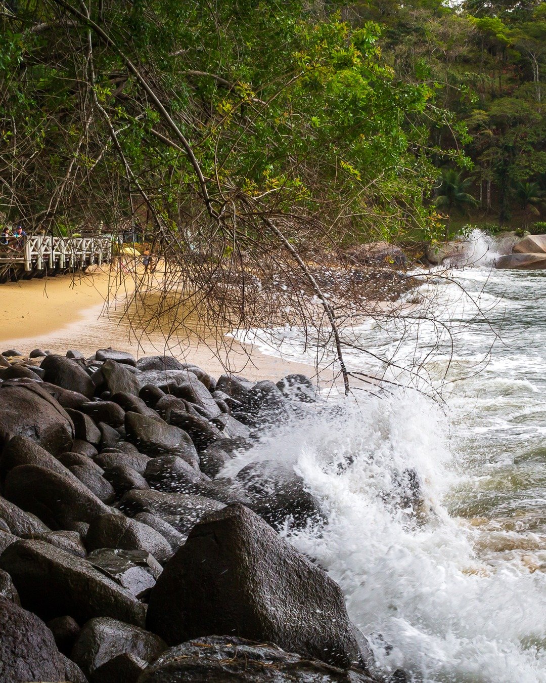 Praia com mar agitado quebrando em rochas escuras no primeiro plano, faixa de areia clara com pequena estrutura de apoio à esquerda, galhos pendentes emoldurando o topo e encosta com vegetação densa ao fundo.