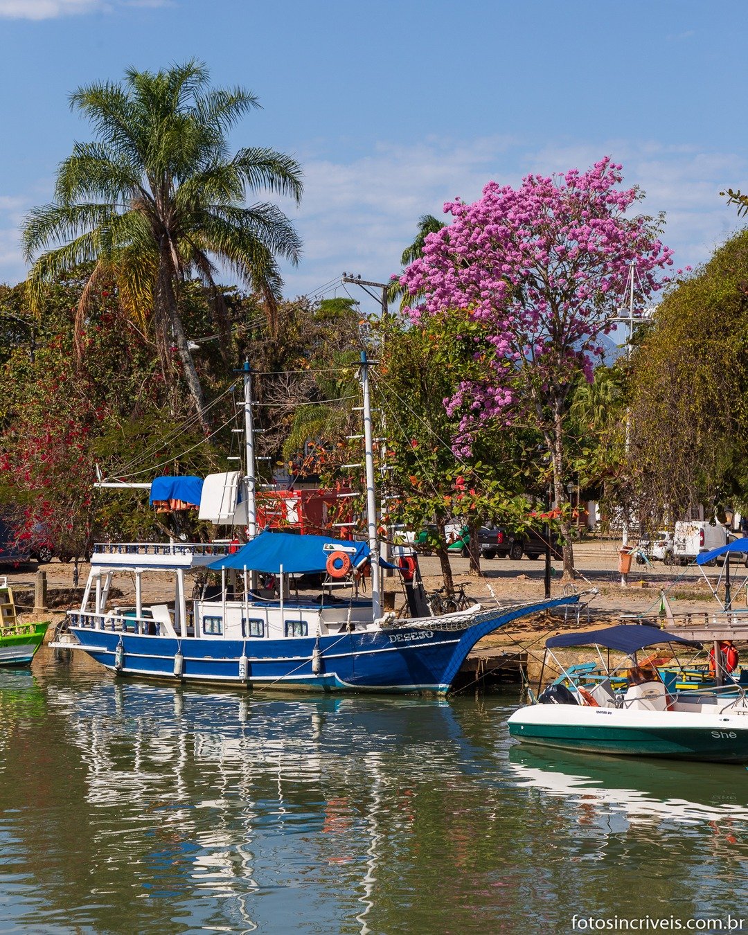 Barco azul ancorado em cais arborizado, com palmeiras e árvore de flores rosas ao fundo, sob céu azul com nuvens e reflexos na água.