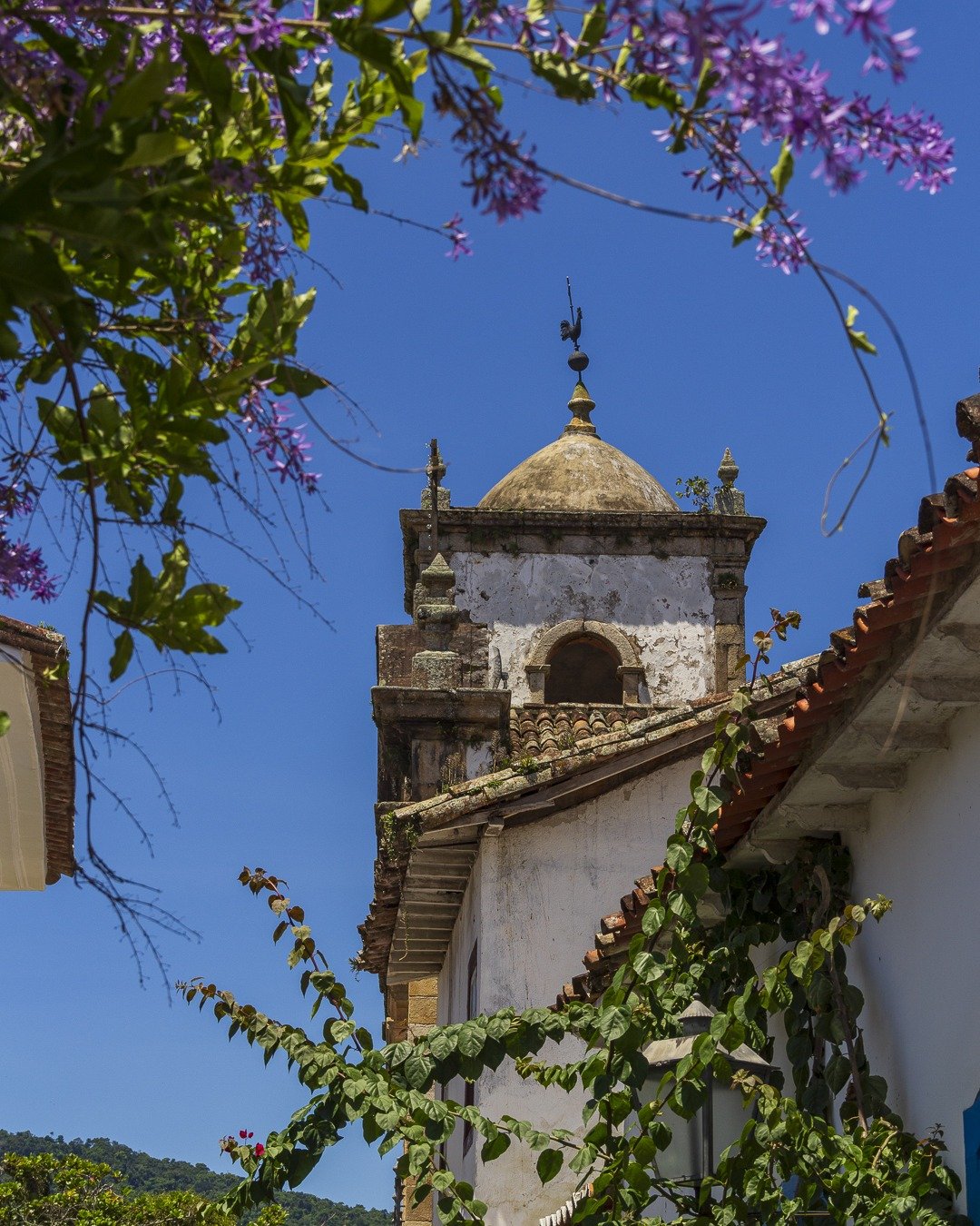 Torre histórica da igreja com cúpula e cruz, emoldurada por flores roxas e folhagens contra o céu azul.